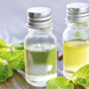 Chiết xuất bạc hà