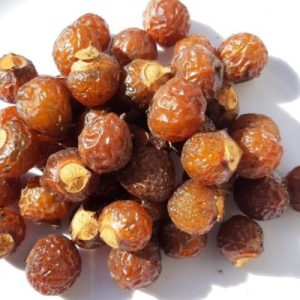 Chiết xuất bồ hòn